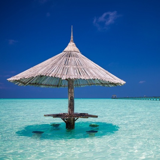 Bamboo beach umbrella with bar seats in the water at Maldives